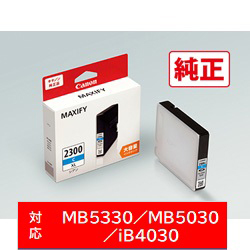 Printer Ink