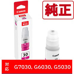 Printer Ink