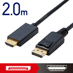 Display Cable Adapter