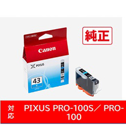 Printer Ink