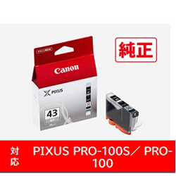 Printer Ink