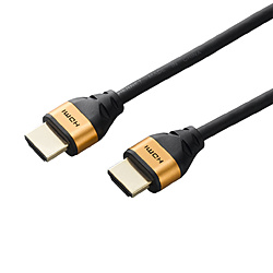 Display Cable Adapter