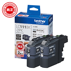 Printer Ink