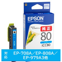 ICC80 | EPSON | Genuine Printer Ink | CoreStaff ONLINE | Core