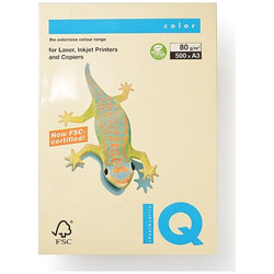 Various Types of Printing Paper and Special Paper
