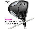 �摜
