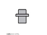 �摜