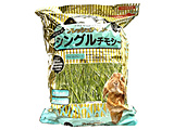 �摜