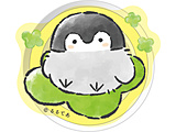 �摜