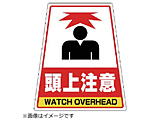 �摜