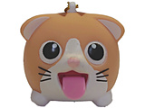 摜