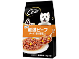 �摜