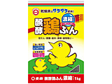�摜