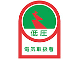 �摜