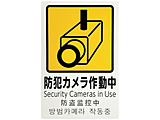 �摜