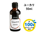 �摜